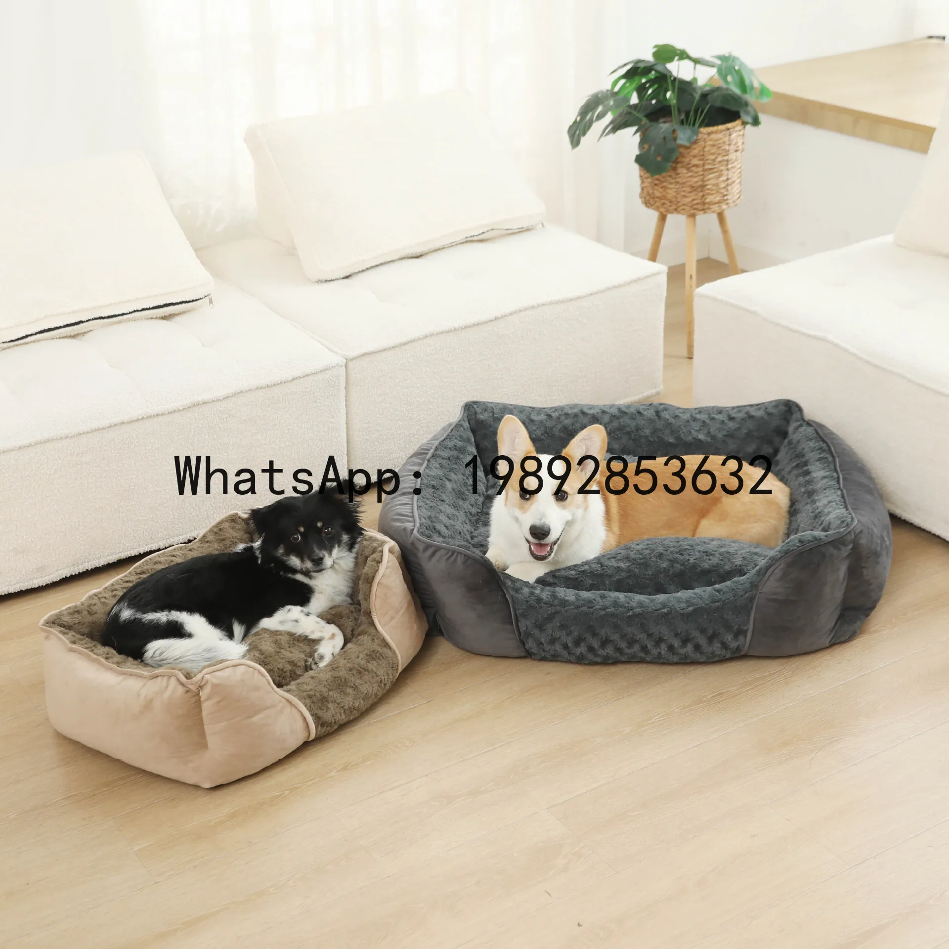 Pet X Supplies & Tack - X cat house semi-enclosed dog kennel