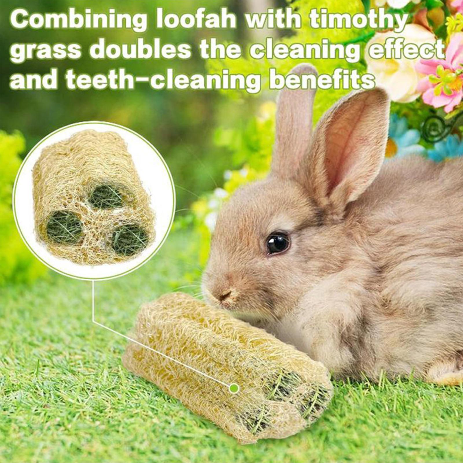 Chew Toys For Bunnies 4 Pieces - огляд і ціна Pet Supplies Pet Shop
