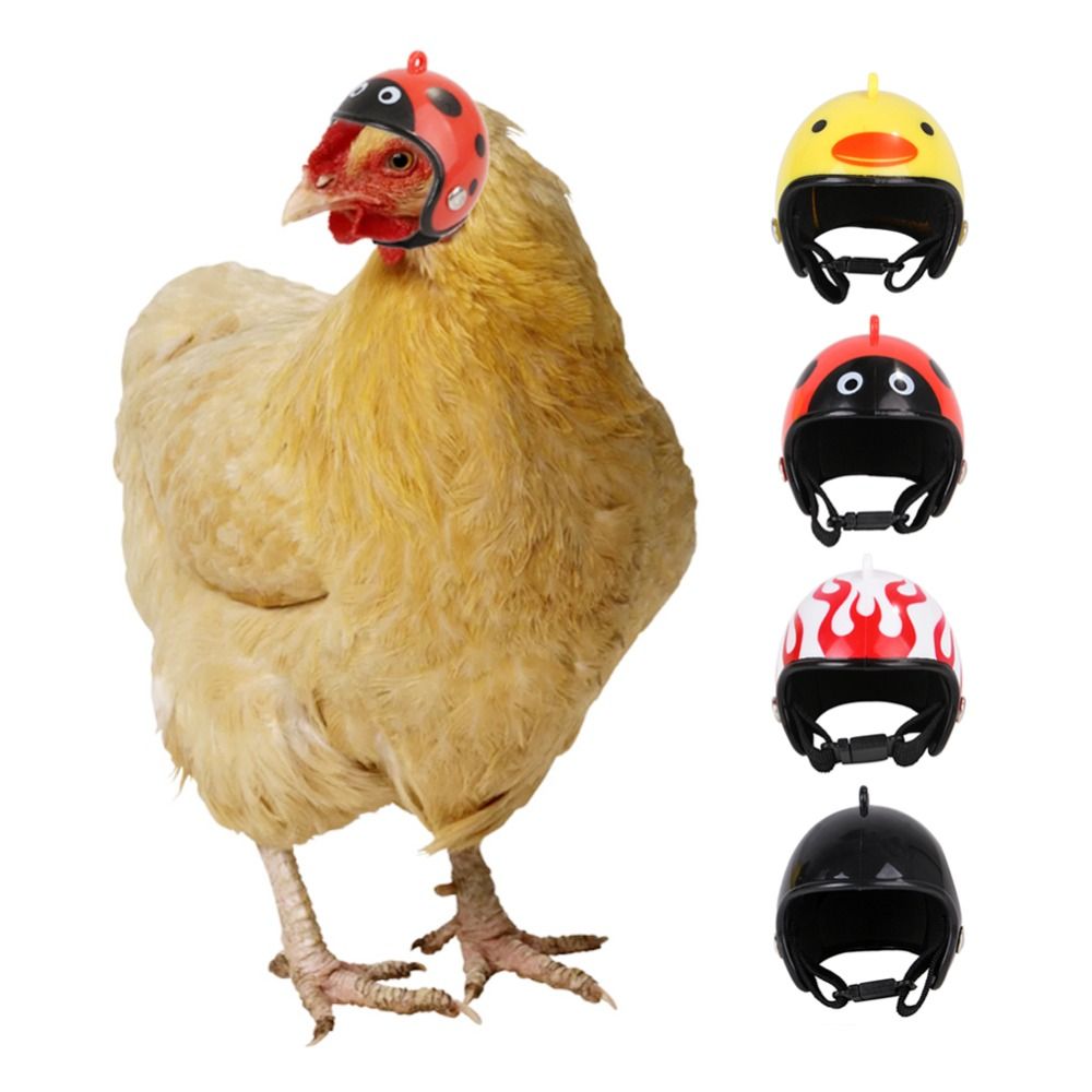 ABS Pet Supplies Funny Pet Pro - огляд і ціна Pet X Supplies & Tack