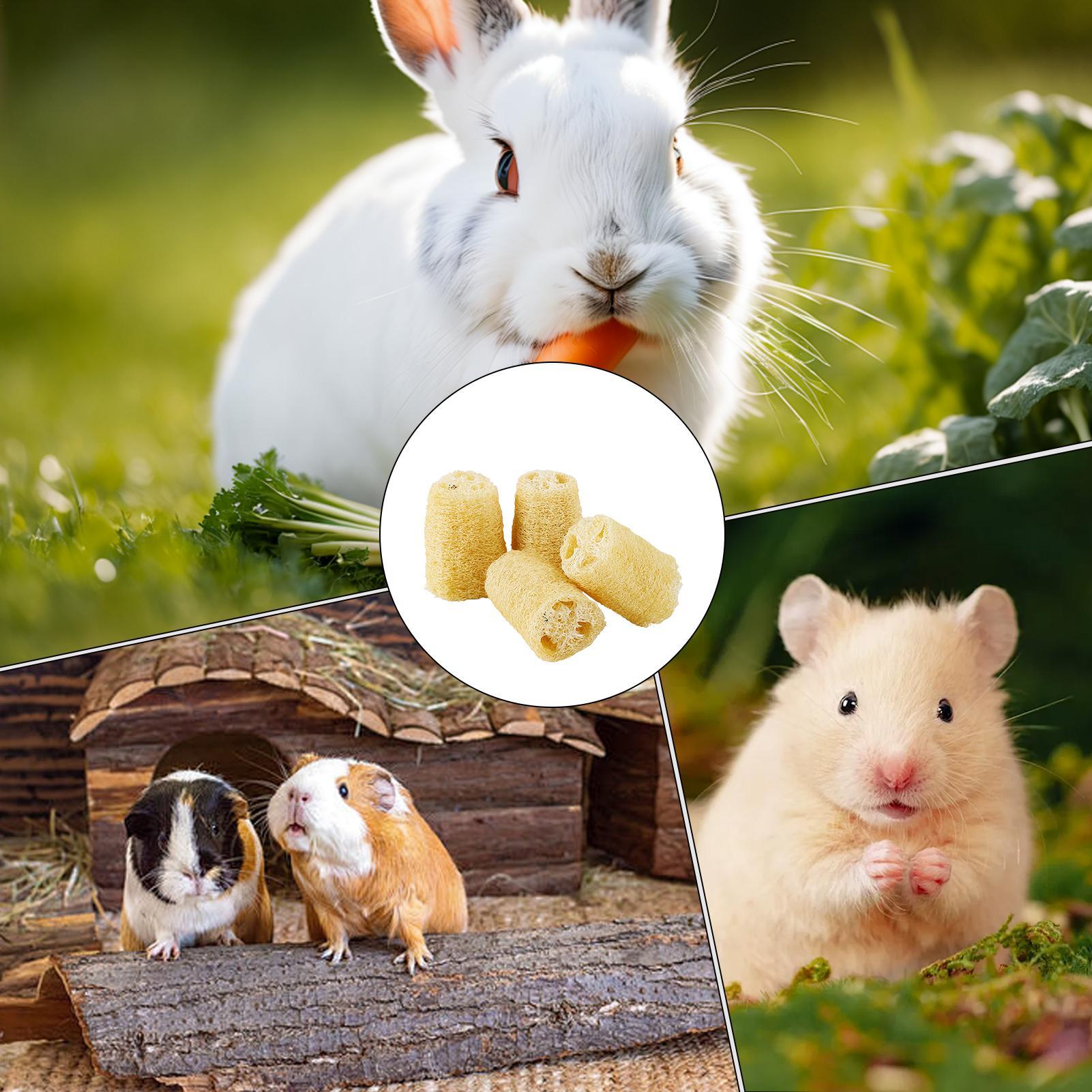Chew Toys For Bunnies 4 Pieces - огляд і ціна Pet Supplies Pet Shop