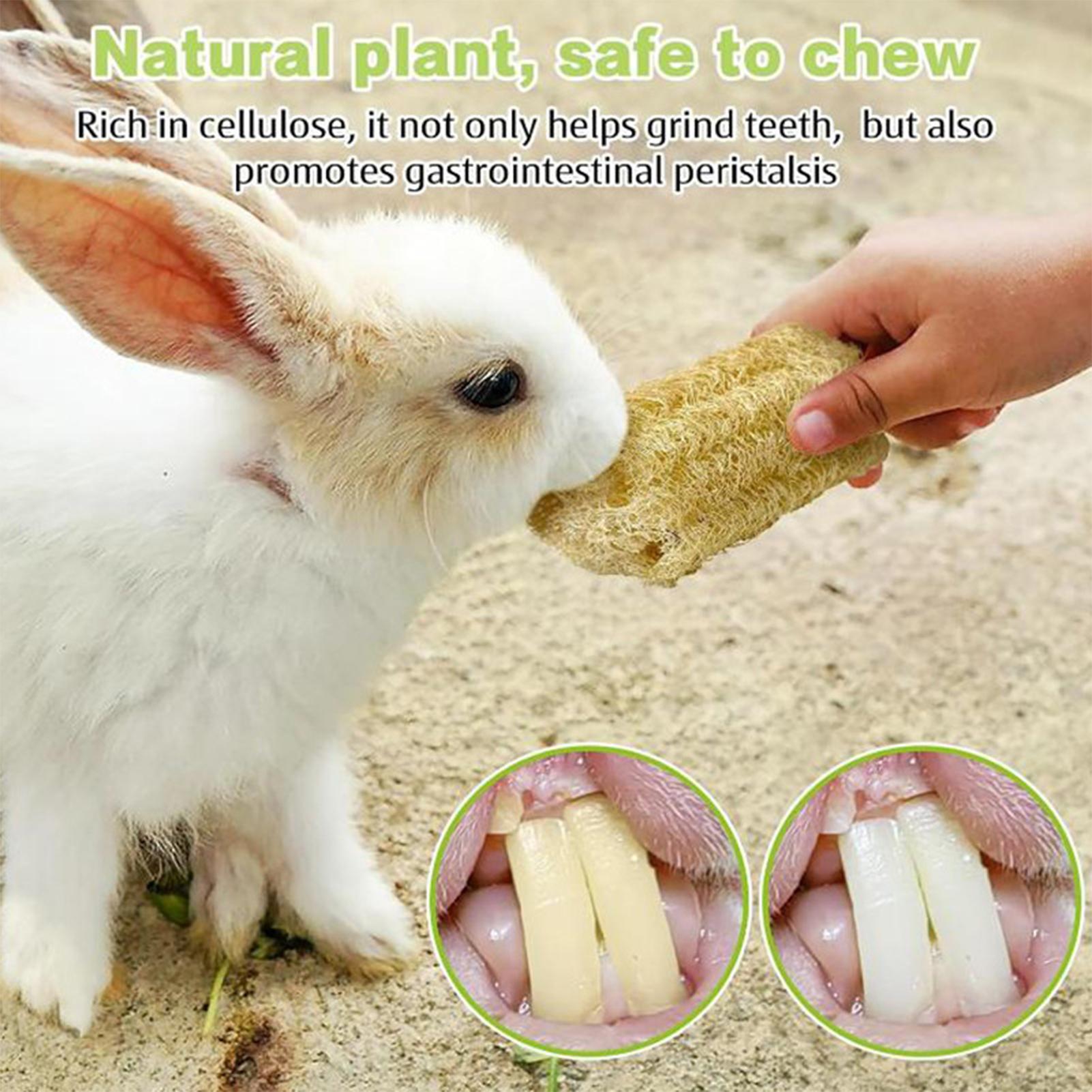 Chew Toys For Bunnies 4 Pieces - огляд і ціна Pet Supplies Pet Shop