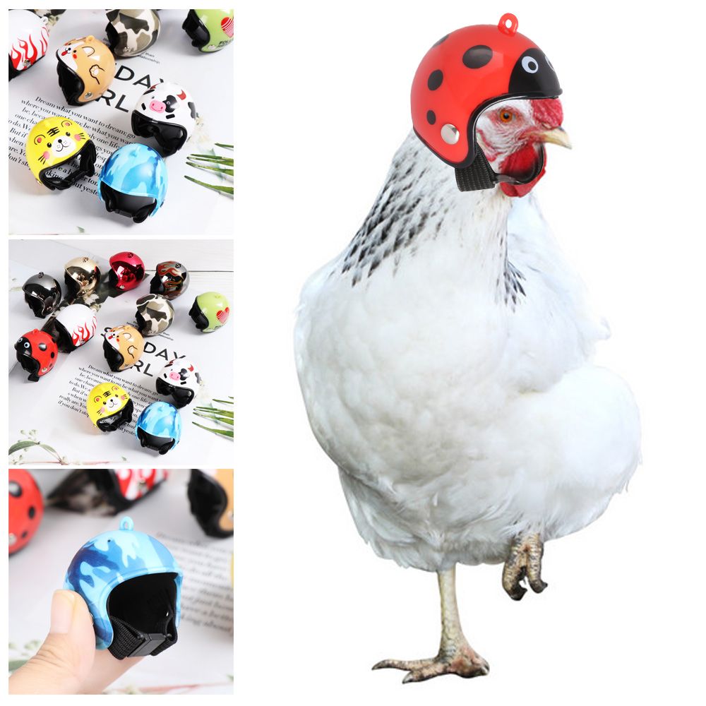 ABS Funny Pet Supplies Pet Pro - огляд і ціна Pet X Supplies & Tack